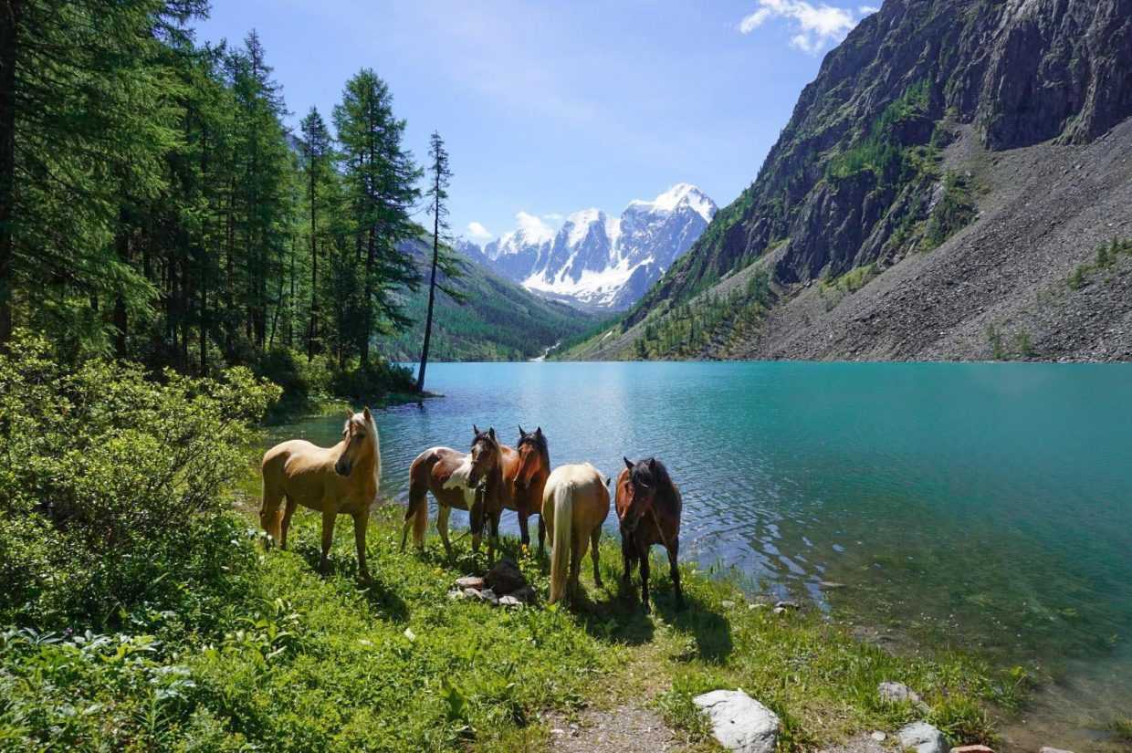 Нижнее Шавлинское озеро Алтай туристы