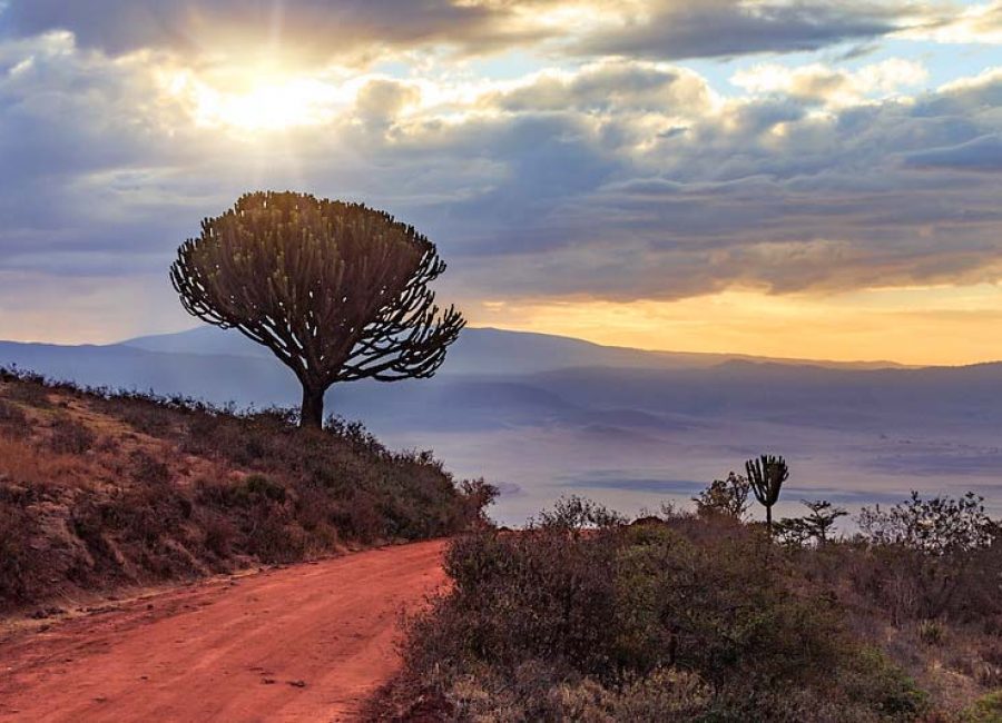 Ngorongoro1